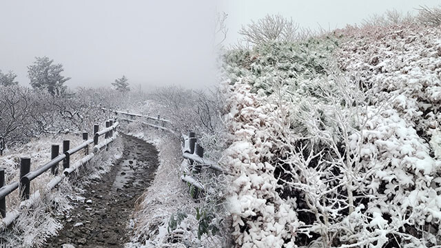 Early Winter Chill G...