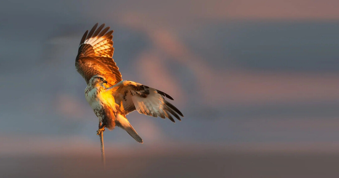 Europe at the Crossr...