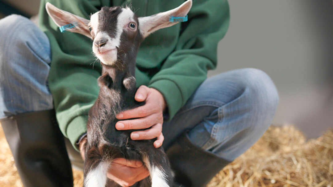 EFSA Unveils New Fun...