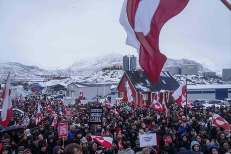 The ‘Greenland Ambition’ Splinters Far-Right Solidarity: Where is Korea’s ‘MAGA Sunflowers’ Headed?