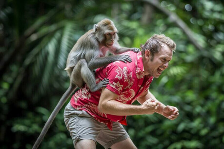 Foreign Travel Alert: Beware of Wild Animal Bites and Local Diseases in SE Asia