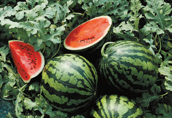 Beyond the Numbers: ...
