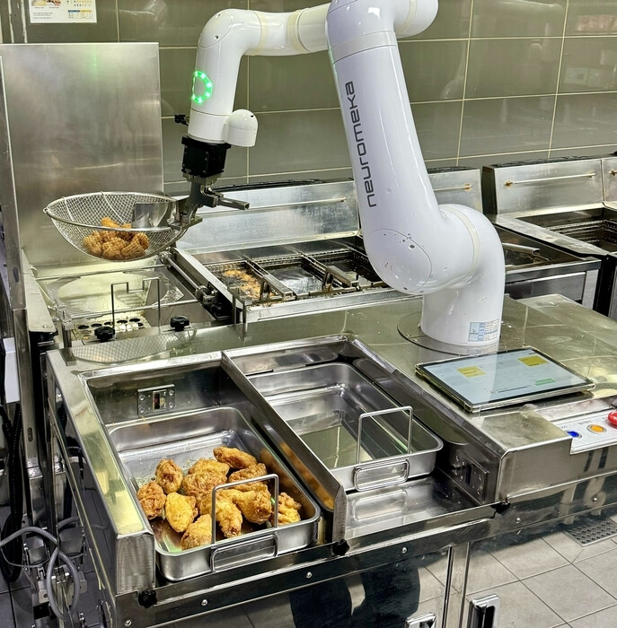 Robots Preserving th...