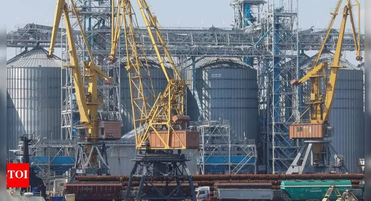 Ukraine Proposes "Black Sea Truce" to Stabilize Global Grain Markets