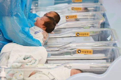 South Korea Sees Rebound in Births and Fertility Rate in 2025