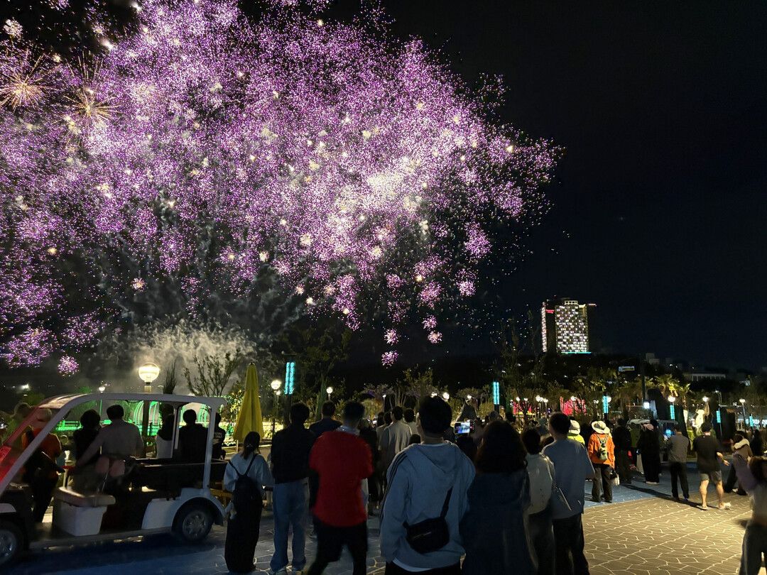 Spectacular Night Vi...