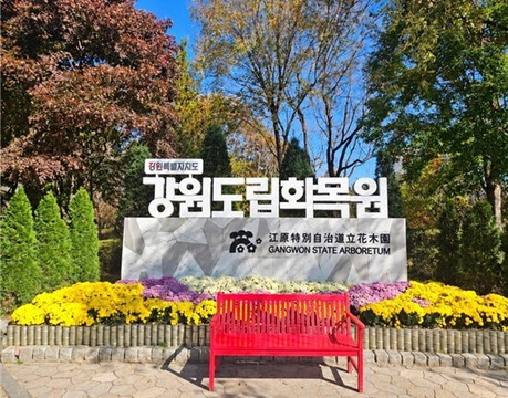Special Autumn at Gangwon State Botanic Garden: "LOVE & ART Festival" Held